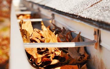 Braichmelyn gutter cleaning companies